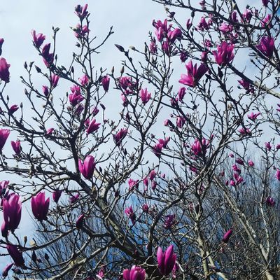 pastypaleprincess thumbnail