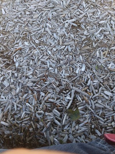 faux.i.fauxr thumbnail