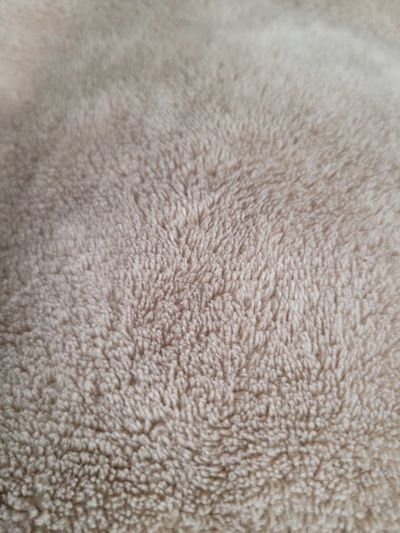 rottendevildawg75 thumbnail