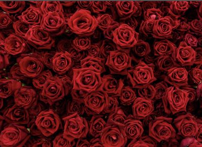 onlysummer1 thumbnail