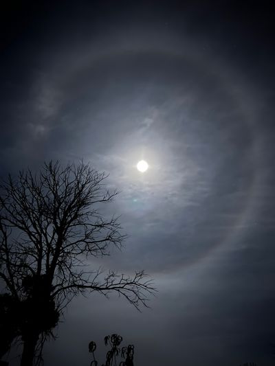 azarajade666 thumbnail