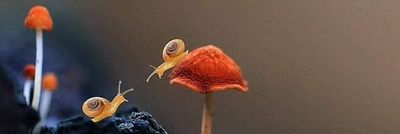 empresselfiiesfree thumbnail