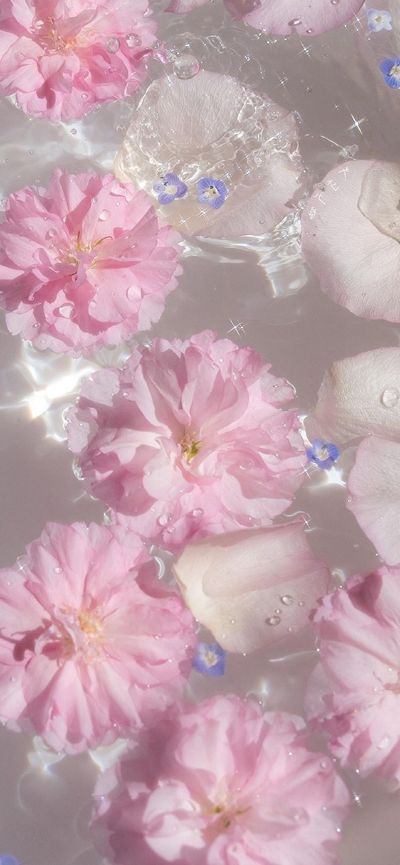 realqueen_alexandra thumbnail