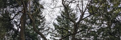 hrnyedger88 thumbnail