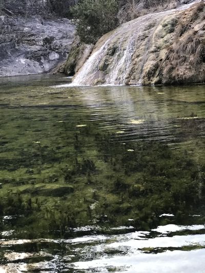 turtle_force thumbnail