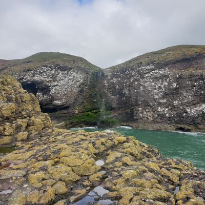 hamishgunn thumbnail