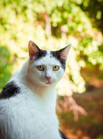 enchantedddrea profile