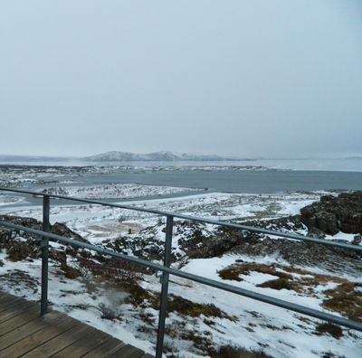 tigsandviolet thumbnail