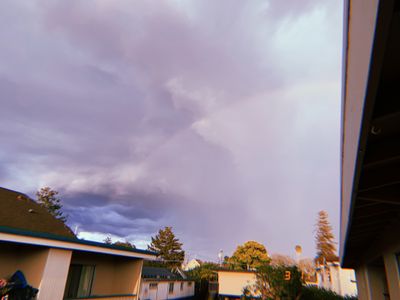 robin-would thumbnail