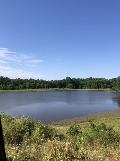 redneck9003 thumbnail