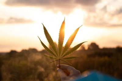 onthedownlow7768 thumbnail