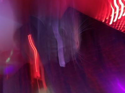 oneastroboy thumbnail