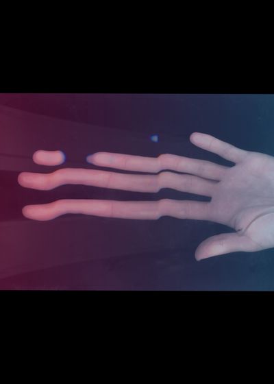 irisflowers thumbnail