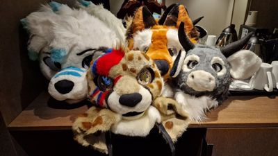 matthewfoxbe thumbnail