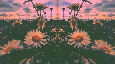 aprilwilder1 thumbnail