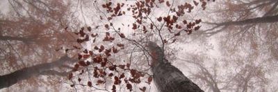 lovelyfeettour thumbnail