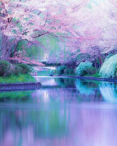 u197018462 thumbnail