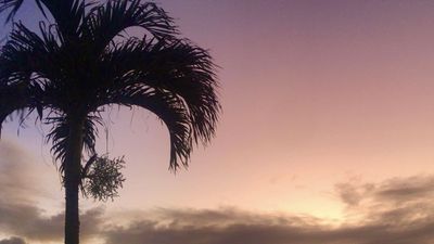 thegroovybooty thumbnail