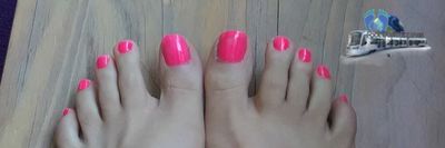 scholls_dr thumbnail