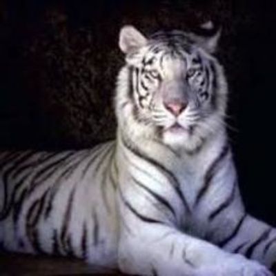 shawnyshawnyluv profile