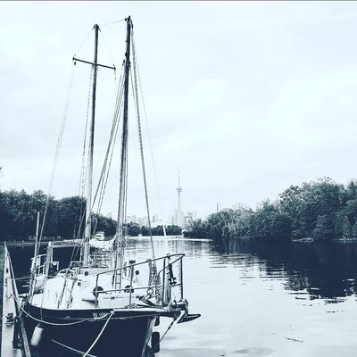 marcosm.pzd thumbnail