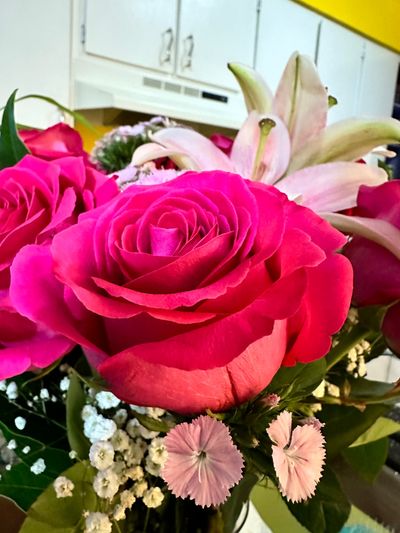 beautifullyunfamiliar thumbnail