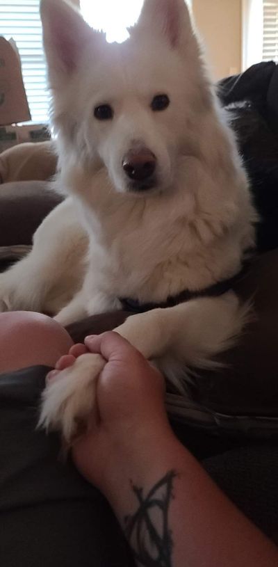 sureshotxp thumbnail