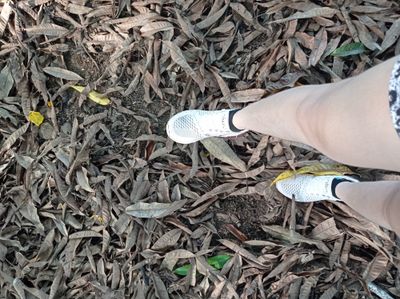 forero2028 thumbnail