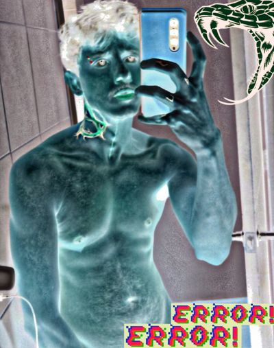 dereckraccoon profile