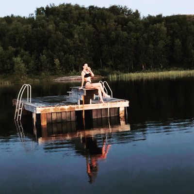 Nordic Lynx thumbnail