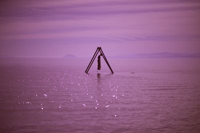 mossvonfaustenberg thumbnail