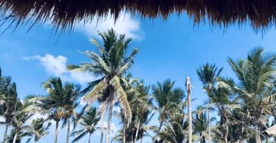 xoxololoxoxo thumbnail