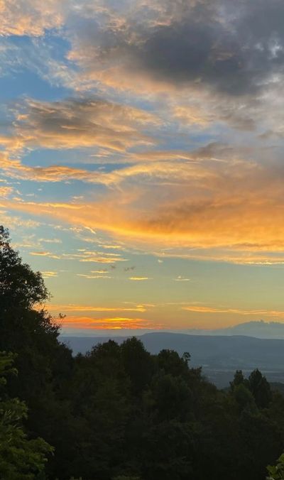 Gialynn Genetii thumbnail