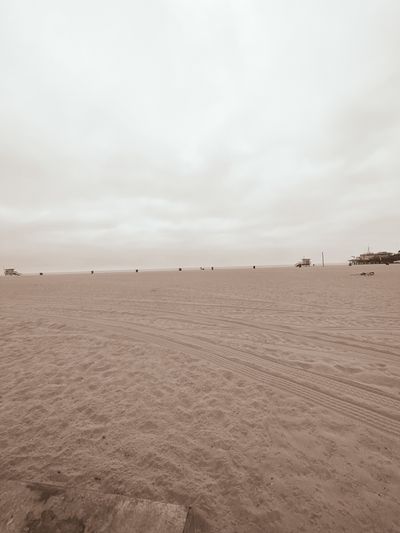 tyler_james_252 thumbnail