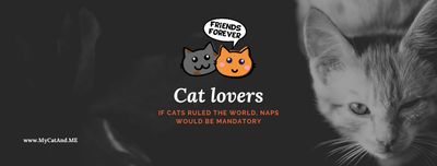 catsgrumpy thumbnail