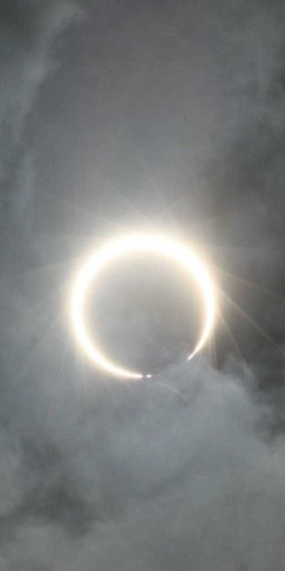 alvin54718073 profile