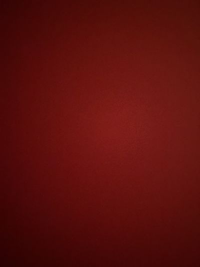 thesqueezedseat profile