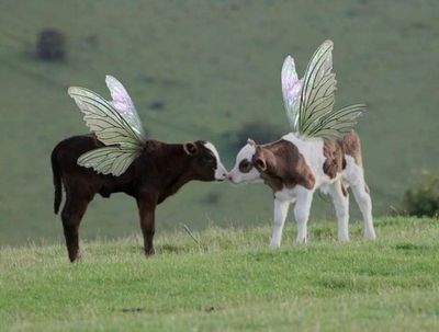 mommydommey thumbnail