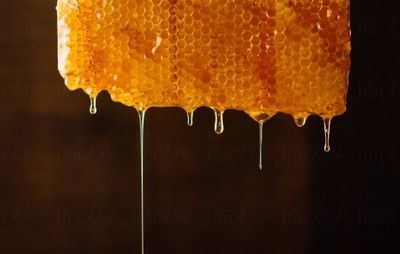 honeybeexoxo3 thumbnail