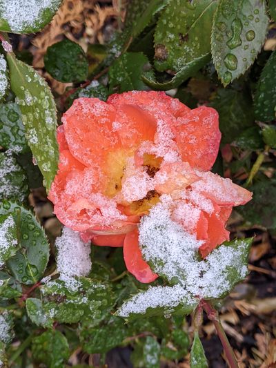 talk.to.me thumbnail