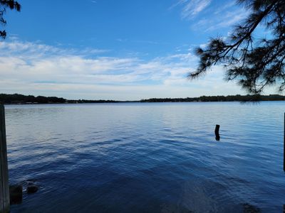 tazdevil6969 thumbnail