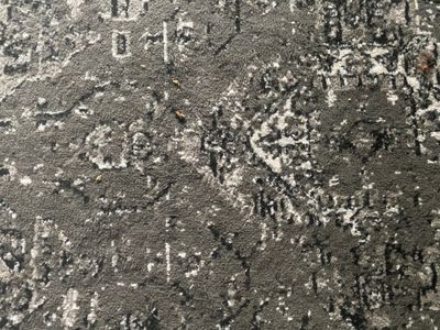 ThatPiercedguy thumbnail