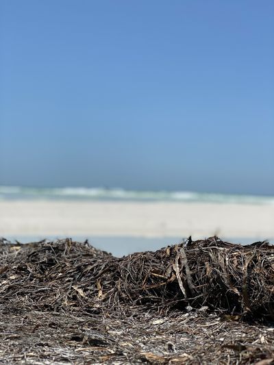 travelingdesires69 thumbnail