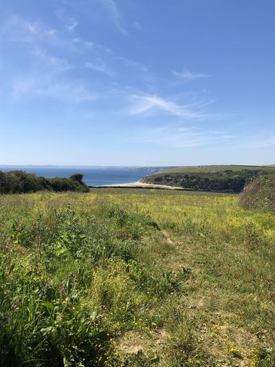 tamika.99x thumbnail