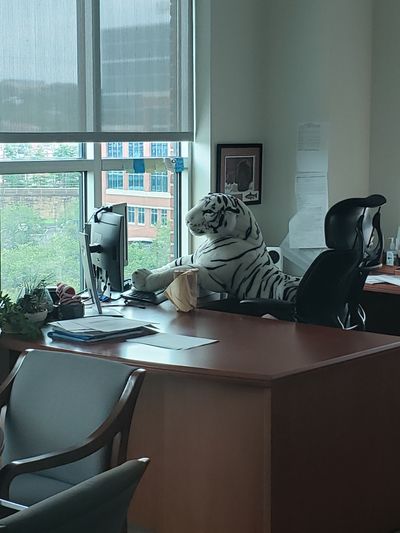 Sam Aleister profile