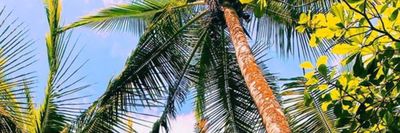 porcelainbb thumbnail