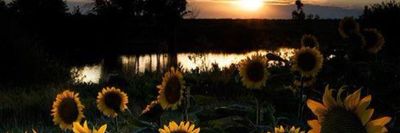 elizvbeth2812 thumbnail