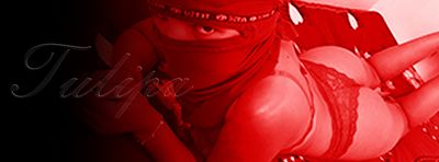 tulipacasada thumbnail