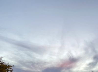 mafiacakes thumbnail