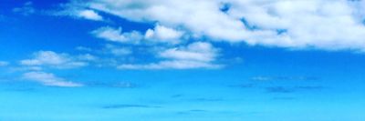 C*MDUMP BEARD thumbnail